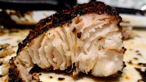cobia fish|Cobia Fish – What It Is + Favorite Recipes .